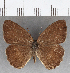  ( - CFC32836)  @11 [ ] copyright (2020) Christer Fahraeus Center For Collection-Based Research