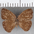  ( - CFC32837)  @11 [ ] copyright (2020) Christer Fahraeus Center For Collection-Based Research