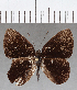  ( - CFC32933)  @11 [ ] Copyright (2019) Christer Fahraeus Center For Collection-Based Research