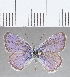  ( - CFC33232)  @11 [ ] Copyright (2020) Christer Fahraeus Center For Collection-Based Research