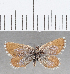  ( - CFC33382)  @11 [ ] Copyright (2020) Christer Fahraeus Center For Collection-Based Research