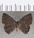  ( - CFC33398)  @11 [ ] copyright (2020) Christer Fahraeus Center For Collection-Based Research