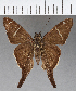  ( - CFC03369)  @11 [ ] Copyright (2018) Christer Fahraeus Center For Collection-Based Research