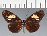  ( - CFC33782)  @11 [ ] copyright (2023) Center For Collection-Based Research Center For Collection-Based Research