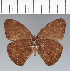  ( - CFC33889)  @11 [ ] copyright (2022) Center For Collection-Based Research Center For Collection-Based Research
