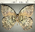 ( - CFC33992)  @11 [ ] copyright (2022) Center For Collection-Based Research Center For Collection-Based Research