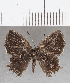  ( - CFC34969)  @11 [ ] Copyright (2020) Christer Fahraeus Center For Collection-Based Research