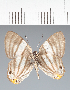  ( - CFC35056)  @11 [ ] copyright (2022) Center For Collection-Based Research Center For Collection-Based Research