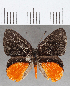  ( - CFC35064)  @11 [ ] Copyright (2020) Christer Fahraeus Center For Collection-Based Research