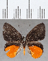  ( - CFC35170)  @11 [ ] Copyright (2020) Christer Fahraeus Center For Collection-Based Research