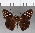  ( - CFC03530)  @11 [ ] Copyright (2018) Christer Fahraeus Center For Collection-Based Research
