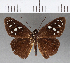  ( - CFC03532)  @11 [ ] Copyright (2018) Christer Fahraeus Center For Collection-Based Research