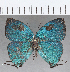  ( - CFC35357)  @11 [ ] Copyright (2020) Christer Fahraeus Center For Collection-Based Research