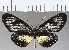  ( - CFC35431)  @11 [ ] Copyright (2020) Christer Fahraeus Center For Collection-Based Research
