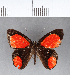  ( - CFC03546)  @11 [ ] Copyright (2018) Christer Fahraeus Center For Collection-Based Research