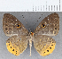  ( - CFC35495)  @11 [ ] Copyright (2020) Christer Fahraeus Center For Collection-Based Research
