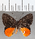  ( - CFC35533)  @11 [ ] Copyright (2020) Christer Fahraeus Center For Collection-Based Research