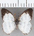  ( - CFC35647)  @11 [ ] Copyright (2020) Christer Fahraeus Center For Collection-Based Research