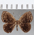  ( - CFC03575)  @11 [ ] Copyright (2019) Christer Fahraeus Center For Collection-Based Research