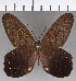  ( - CFC35762)  @11 [ ] copyright (2020) Christer Fahraeus Center For Collection-Based Research