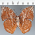  ( - CFC35826)  @11 [ ] copyright (2023) Center For Collection-Based Research Center For Collection-Based Research