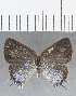  ( - CFC35882)  @11 [ ] copyright (2020) Christer Fahraeus Center For Collection-Based Research
