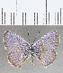  ( - CFC35888)  @11 [ ] Copyright (2020) Christer Fahraeus Center For Collection-Based Research