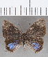  ( - CFC35942)  @11 [ ] copyright (2020) Christer Fahraeus Center For Collection-Based Research