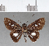  ( - CFC03596)  @11 [ ] Copyright (2018) Christer Fahraeus Center For Collection-Based Research