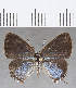  ( - CFC35995)  @11 [ ] copyright (2020) Christer Fahraeus Center For Collection-Based Research