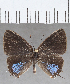  ( - CFC36002)  @11 [ ] Copyright (2020) Christer Fahraeus Center For Collection-Based Research