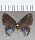  ( - CFC36003)  @11 [ ] Copyright (2020) Christer Fahraeus Center For Collection-Based Research