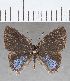  ( - CFC36004)  @11 [ ] copyright (2020) Christer Fahraeus Center For Collection-Based Research