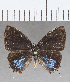  ( - CFC36008)  @11 [ ] Copyright (2020) Christer Fahraeus Center For Collection-Based Research