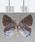  ( - CFC36016)  @11 [ ] Copyright (2020) Christer Fahraeus Center For Collection-Based Research