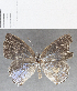  ( - CFC36028)  @11 [ ] copyright (2020) Christer Fahraeus Center For Collection-Based Research