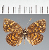  ( - CFC36036)  @11 [ ] copyright (2023) Center For Collection-Based Research Center For Collection-Based Research