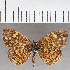  ( - CFC36089)  @11 [ ] copyright (2021) Center For Collection-Based Research Center For Collection-Based Research