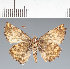  ( - CFC36362)  @11 [ ] copyright (2023) Center For Collection-Based Research Center For Collection-Based Research