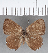  ( - CFC03659)  @11 [ ] Copyright (2019) Christer Fahraeus Center For Collection-Based Research