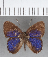  ( - CFC03660)  @11 [ ] Copyright (2019) Christer Fahraeus Center For Collection-Based Research