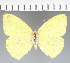 ( - CFC36627)  @11 [ ] copyright (2023) Center For Collection-Based Research Center For Collection-Based Research
