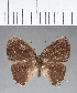  ( - CFC03676)  @11 [ ] Copyright (2018) Christer Fahraeus Center For Collection-Based Research