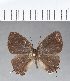  ( - CFC03692)  @11 [ ] Copyright (2018) Christer Fahraeus Center For Collection-Based Research