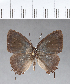  ( - CFC03694)  @11 [ ] Copyright (2018) Christer Fahraeus Center For Collection-Based Research