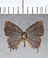  ( - CFC03698)  @11 [ ] Copyright (2018) Christer Fahraeus Center For Collection-Based Research