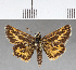  ( - CFC03721)  @11 [ ] Copyright (2018) Christer Fahraeus Center For Collection-Based Research