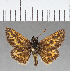  ( - CFC03722)  @11 [ ] Copyright (2018) Christer Fahraeus Center For Collection-Based Research