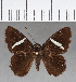 ( - CFC03723)  @13 [ ] Copyright (2018) Christer Fahraeus Center For Collection-Based Research