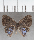  ( - CFC37415)  @11 [ ] copyright (2021) Center For Collection-Based Research Center For Collection-Based Research